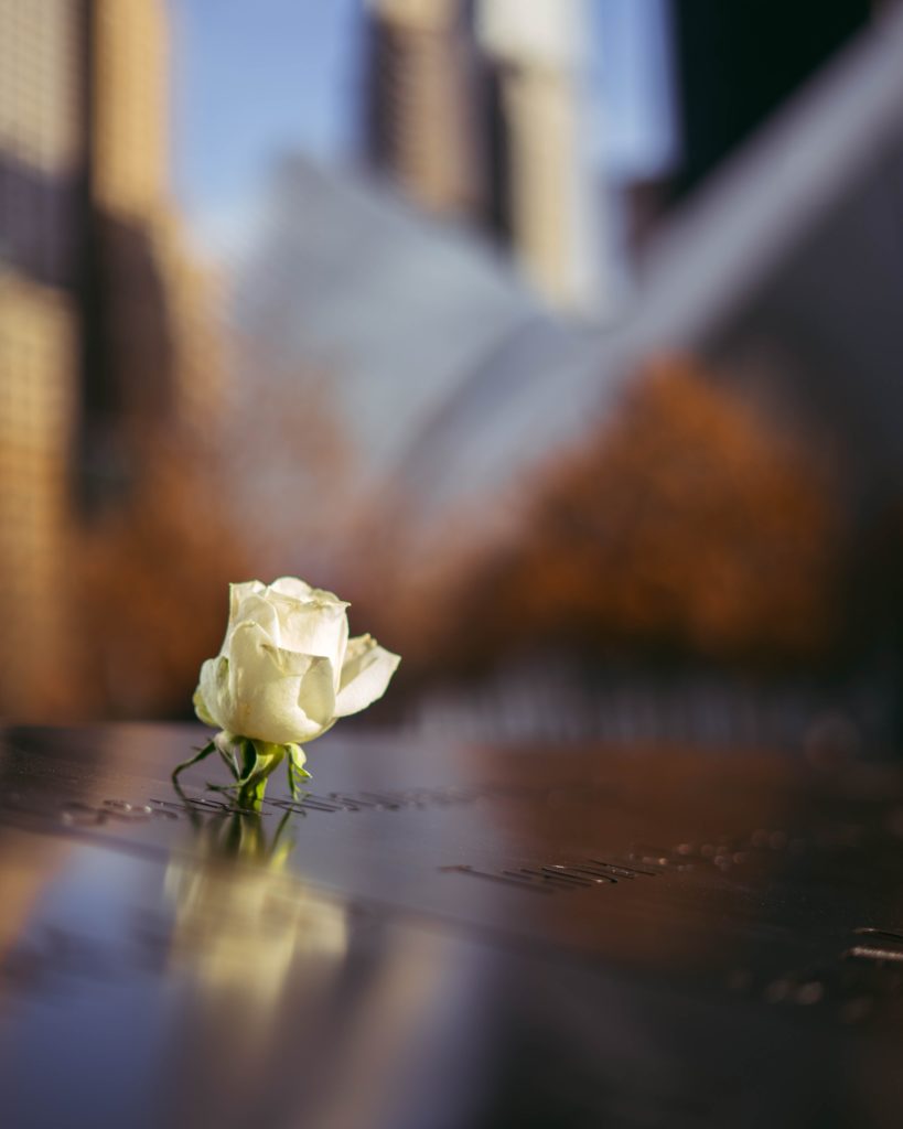 Flower on a tombstone memorial in a city