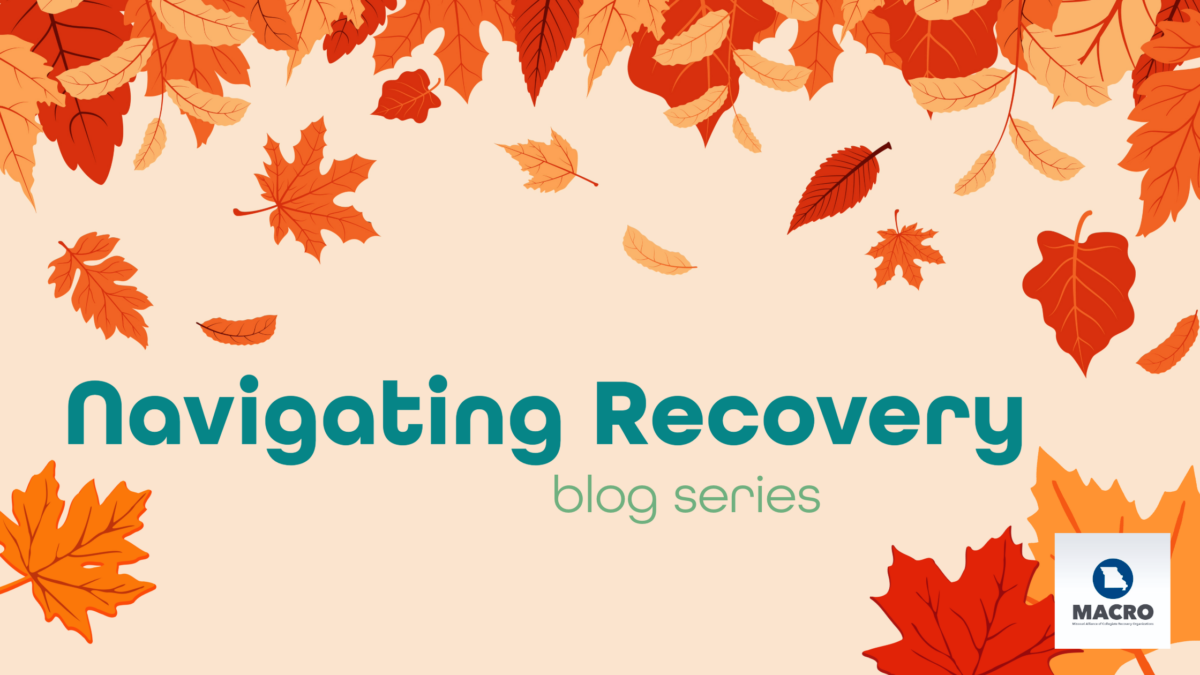 Falling leaves with wording "Navigating Recovery blog series" MACRO logo