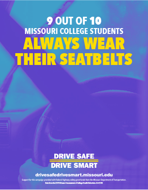 seatbelt