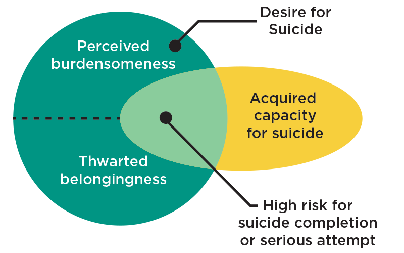 Suicide risk graphic