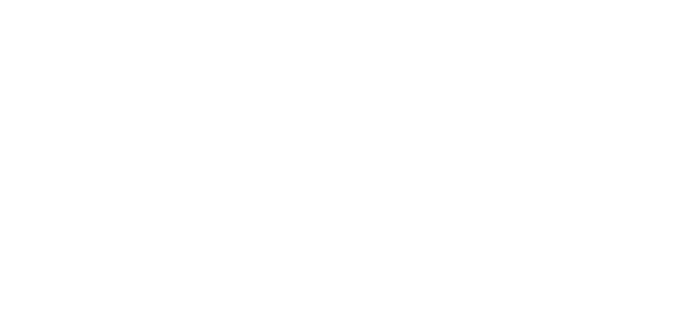 Partners in Prevention