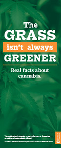 Marijuana brochure
